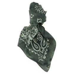 Paisley scarf