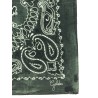 Paisley scarf