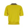 Cashmere polo shirt