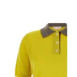 Cashmere polo shirt