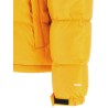 '1996 Retro Nuptse' down jacket