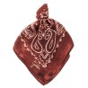 Paisley scarf