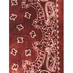 Paisley scarf