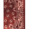 Paisley scarf