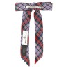 'RTW Tartan' hair clip