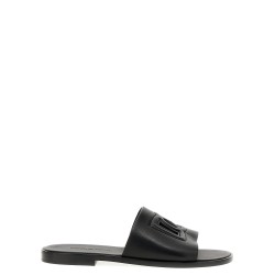 Logo slides