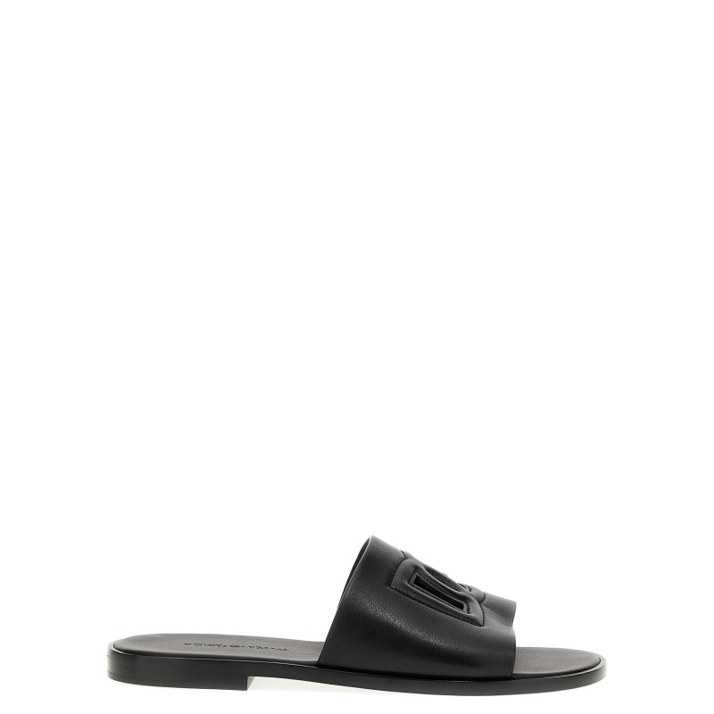 Logo slides