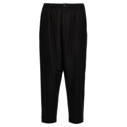 Tropical wool crop pants