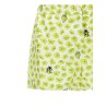 'Strawberry Garden' shorts