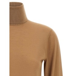 Cashmere turtleneck sweater