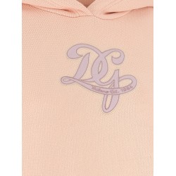 Logo embroidery hoodie