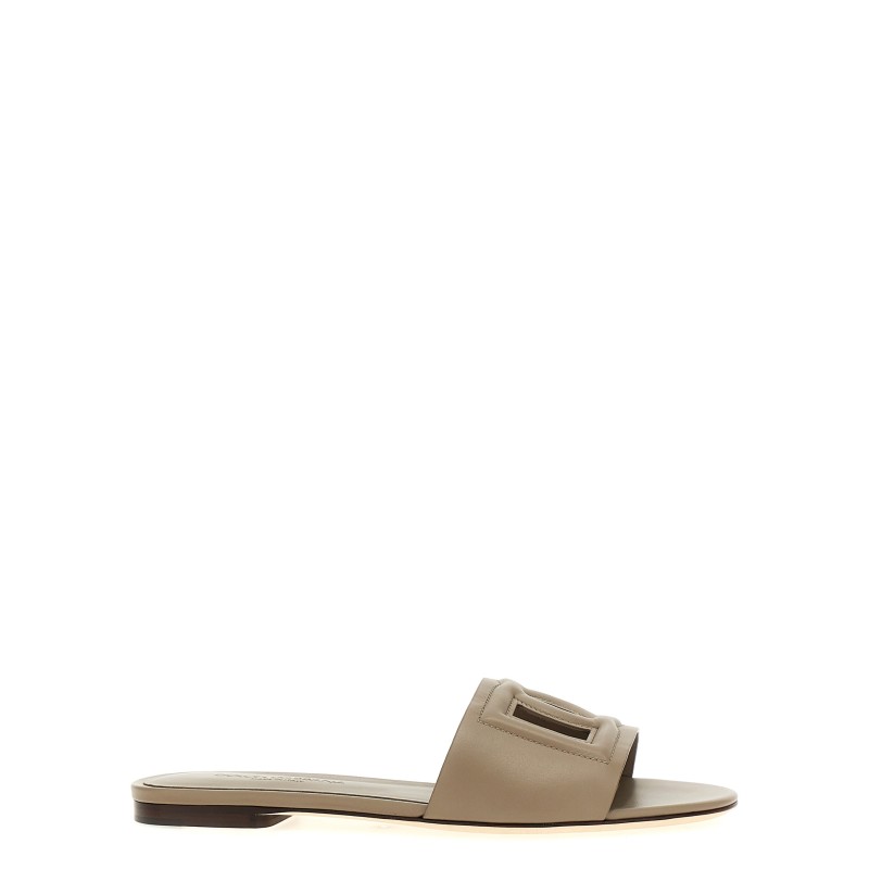 'DG' slides