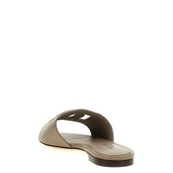 'DG' slides