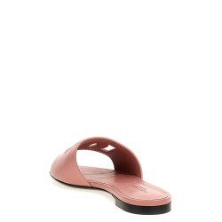 'DG' slides