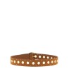 Studded belt