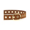 Studded belt