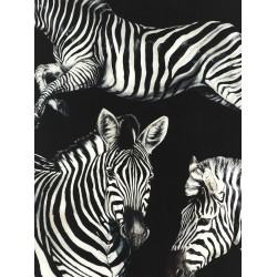 Zebra print scarf