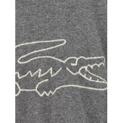 Comme Des Garcons shirt x Lacoste sweater