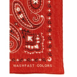 Bandana Paisley