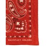 Bandana Paisley