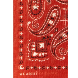 Bandana Paisley