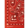 Bandana Paisley