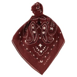 Bandana Paisley