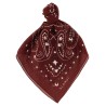 Bandana Paisley