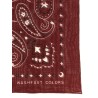 Bandana Paisley
