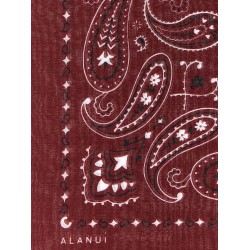 Bandana Paisley