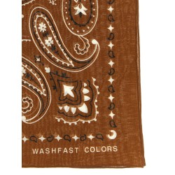 Bandana Paisley