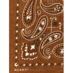 Bandana Paisley
