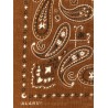 Bandana Paisley