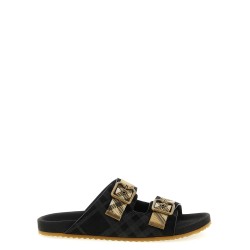 'Urchin' slides