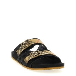 'Urchin' slides