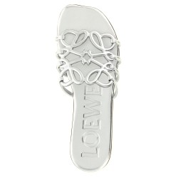 'Anagram Petal' slides