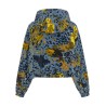 Reversible windbreaker