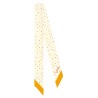 Valentino Garavani 'Starry' scarf