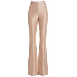 Shiny stretch pants