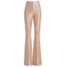Shiny stretch pants