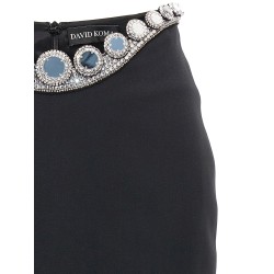 'Puffer Circle Embroidery' skirt