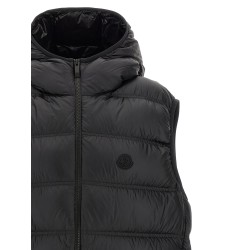 'Panestrel' vest