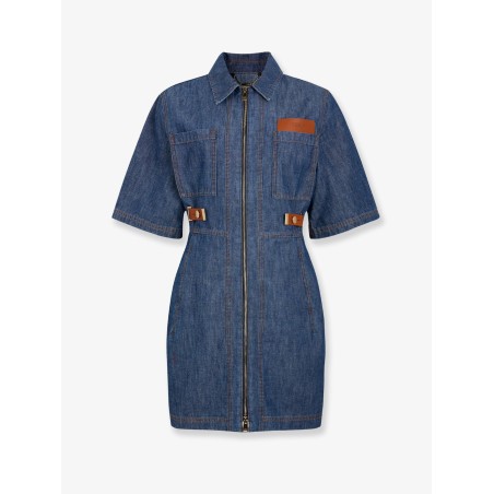 Chambray Denim Chemisier Dress