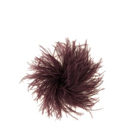 Feather pin