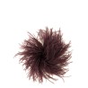 Feather pin