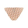 'FF Waves' bikini briefs