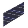 Diagonal striped tie