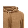 Hooded sweater