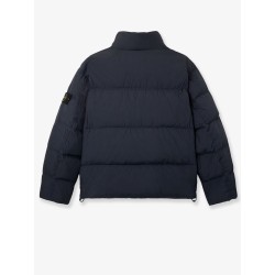 Garment Dyed Crinkle Reps NY Down Jacket