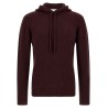 Hooded sweater